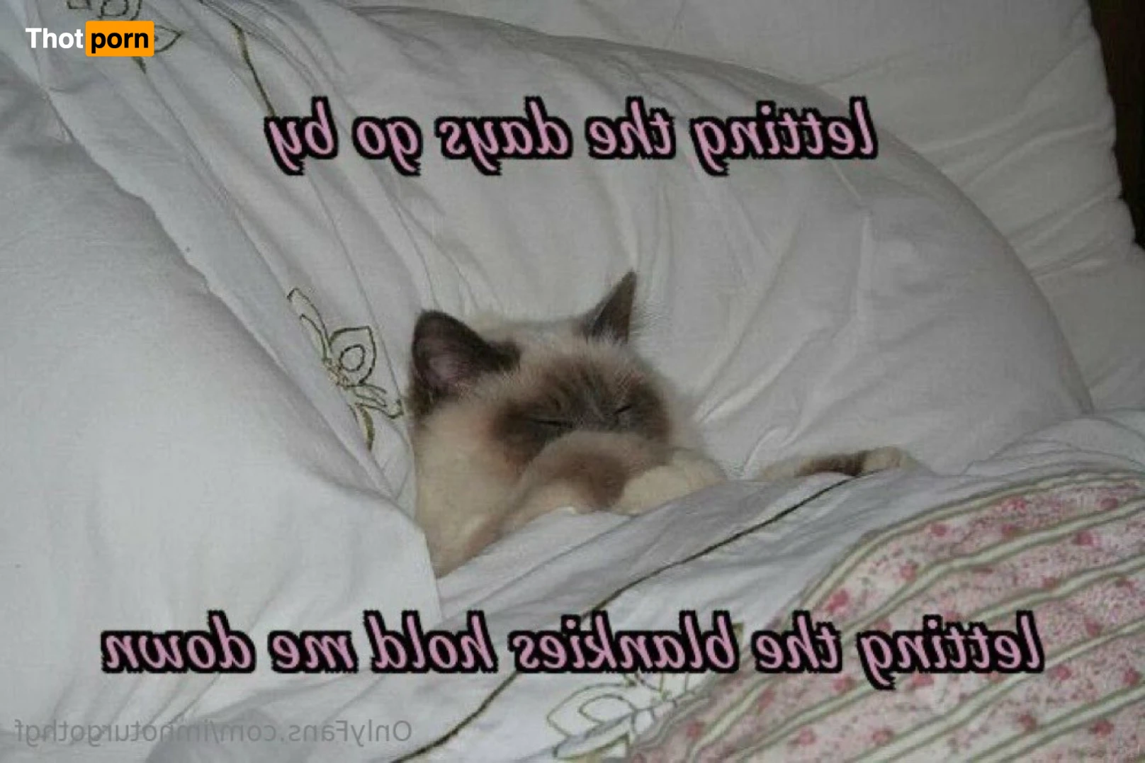 𝔫𝔬𝔱𝔲𝔯𝔤𝔬𝔱𝔥𝔤𝔣 14471778