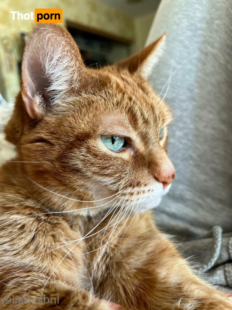 Bailey 🎀 14461719