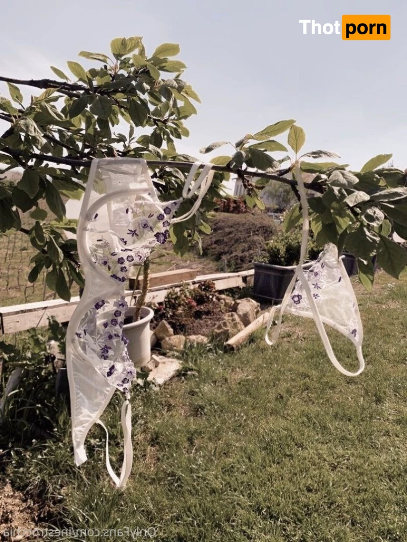 Ines Trocchia 14441741