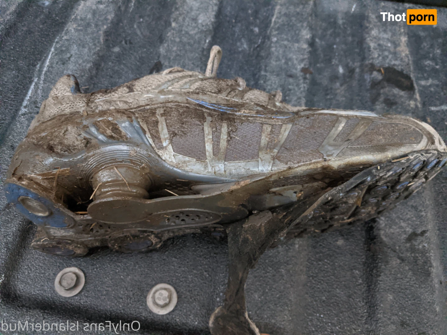 IslanderMud 14300870