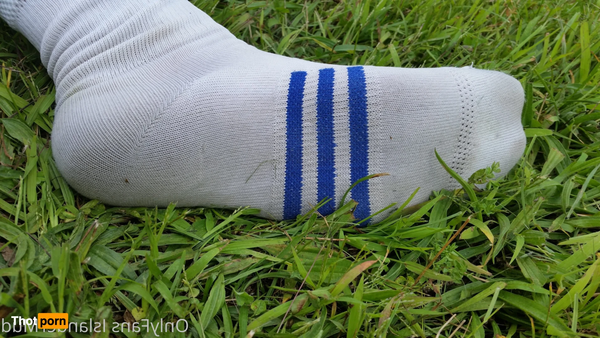 IslanderMud 14301217