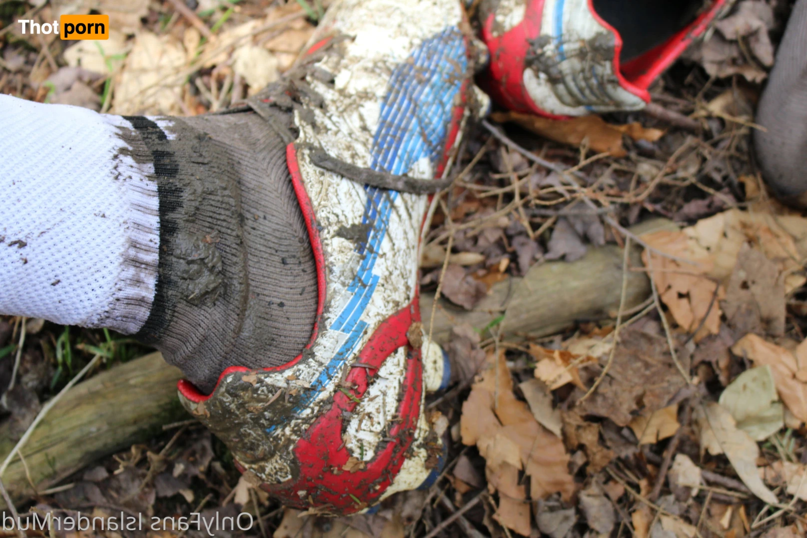 IslanderMud 14301618