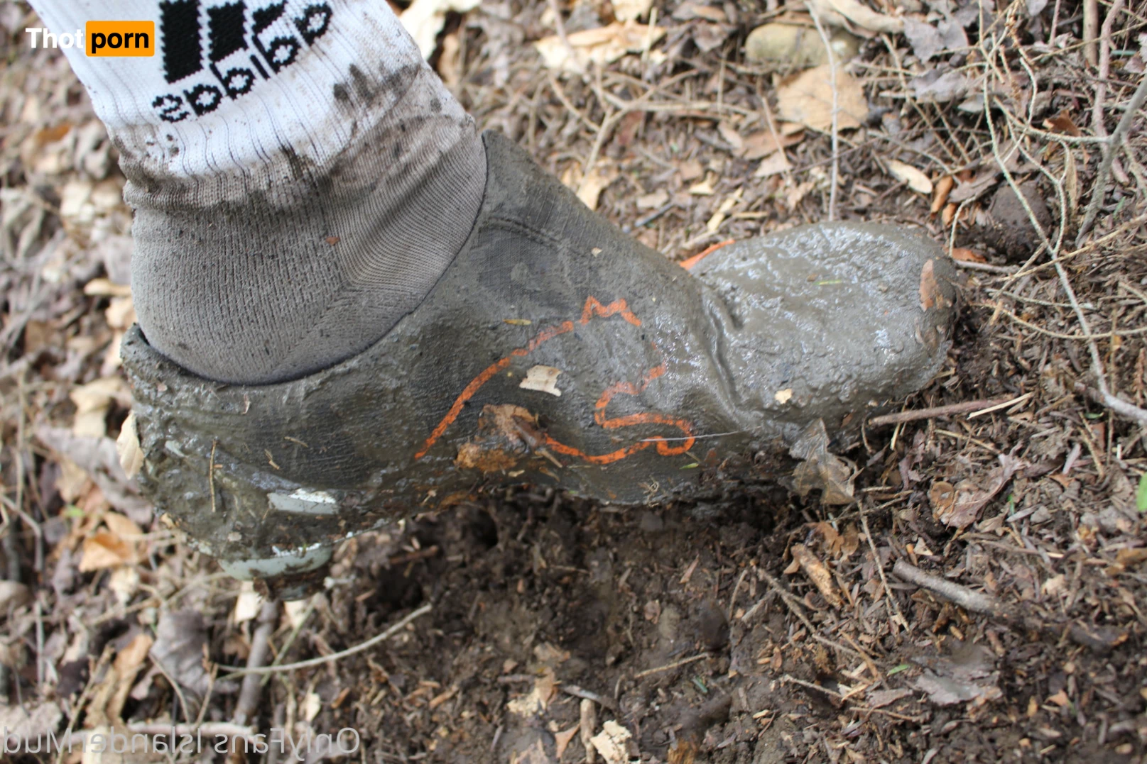 IslanderMud 14301747