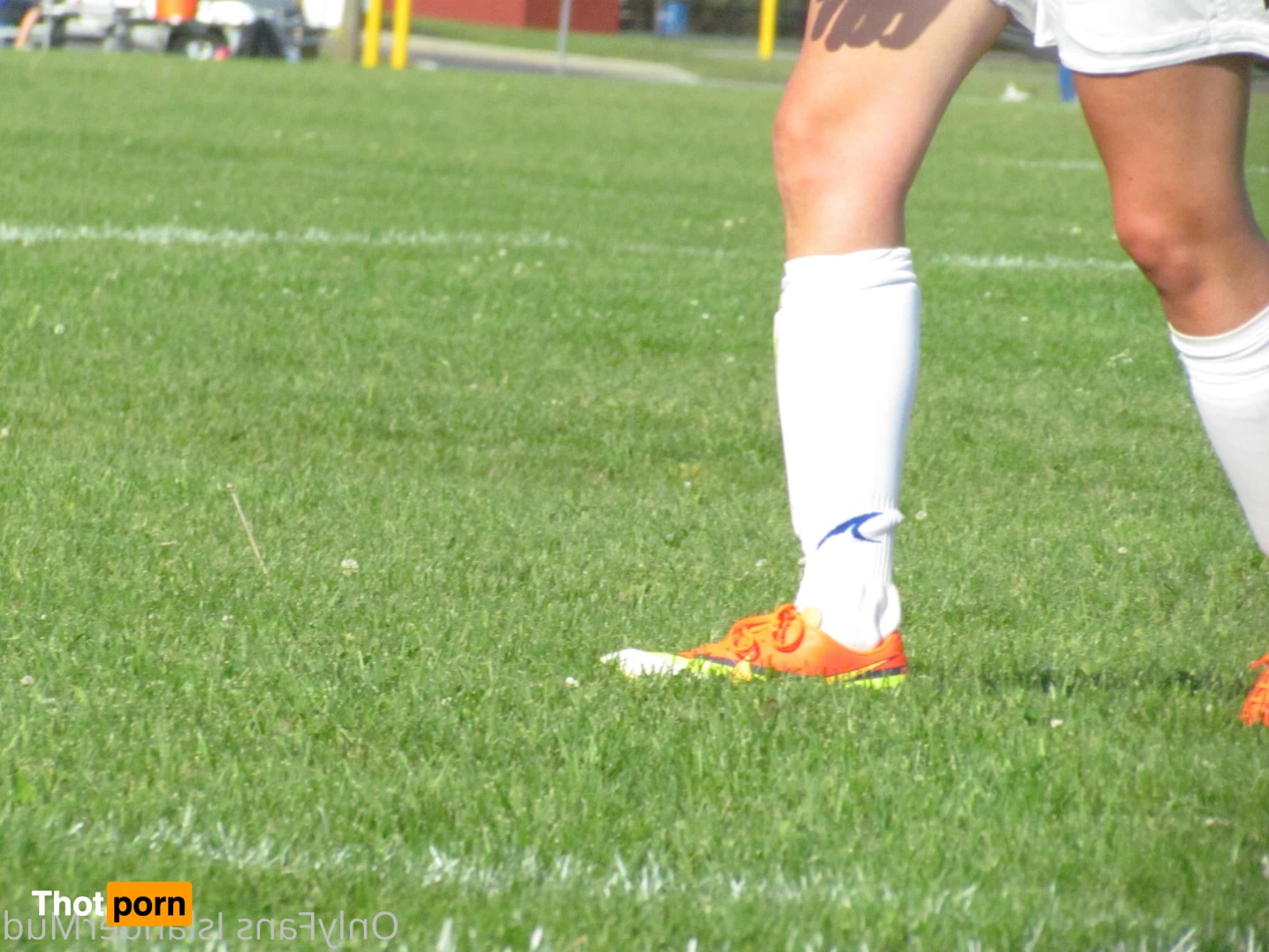 IslanderMud 14302046