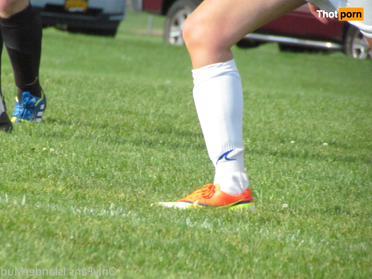 IslanderMud 14302283