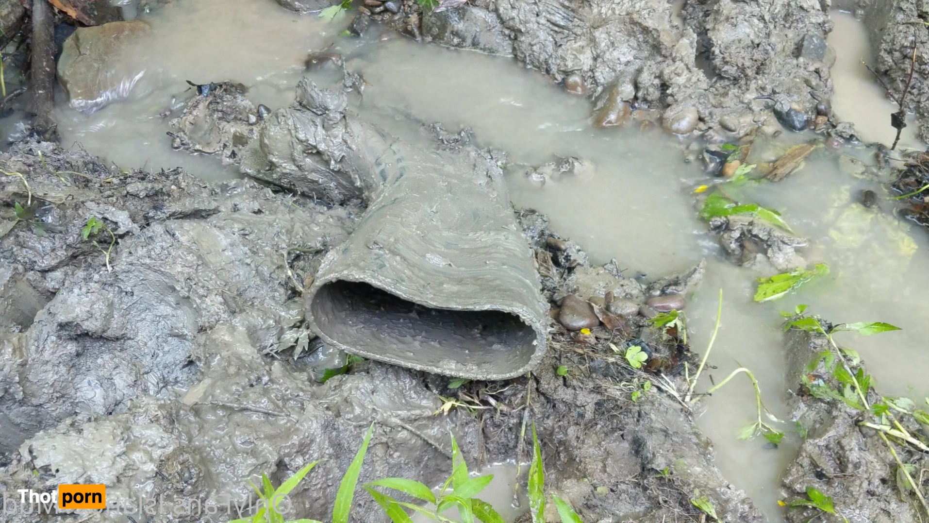 IslanderMud 14302370