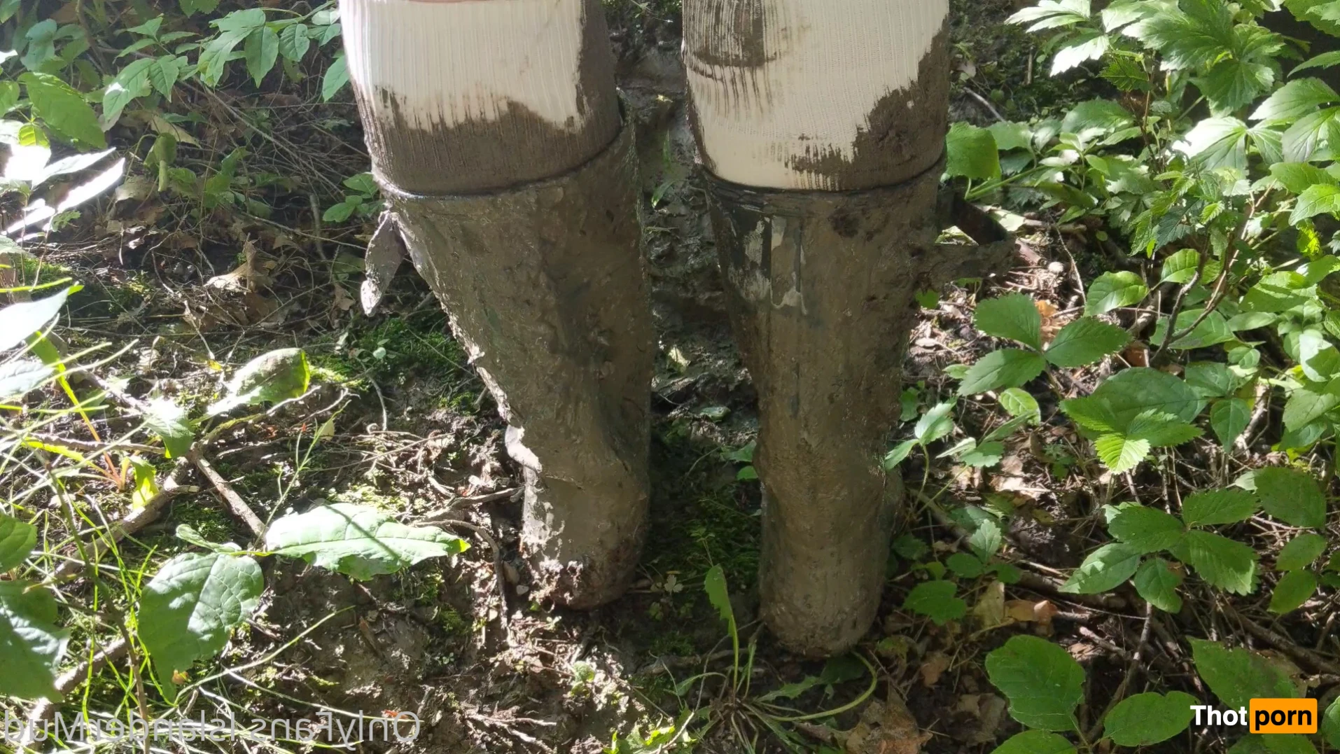 IslanderMud 14302545