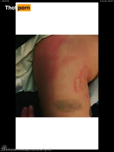 14013041