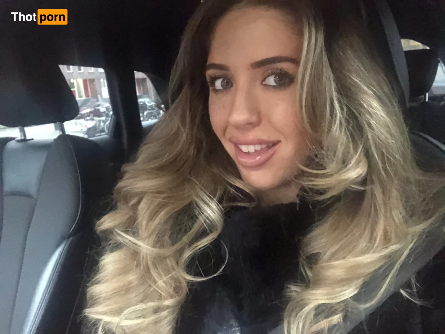 JastonWorld™ Free ⭐️ 13948927