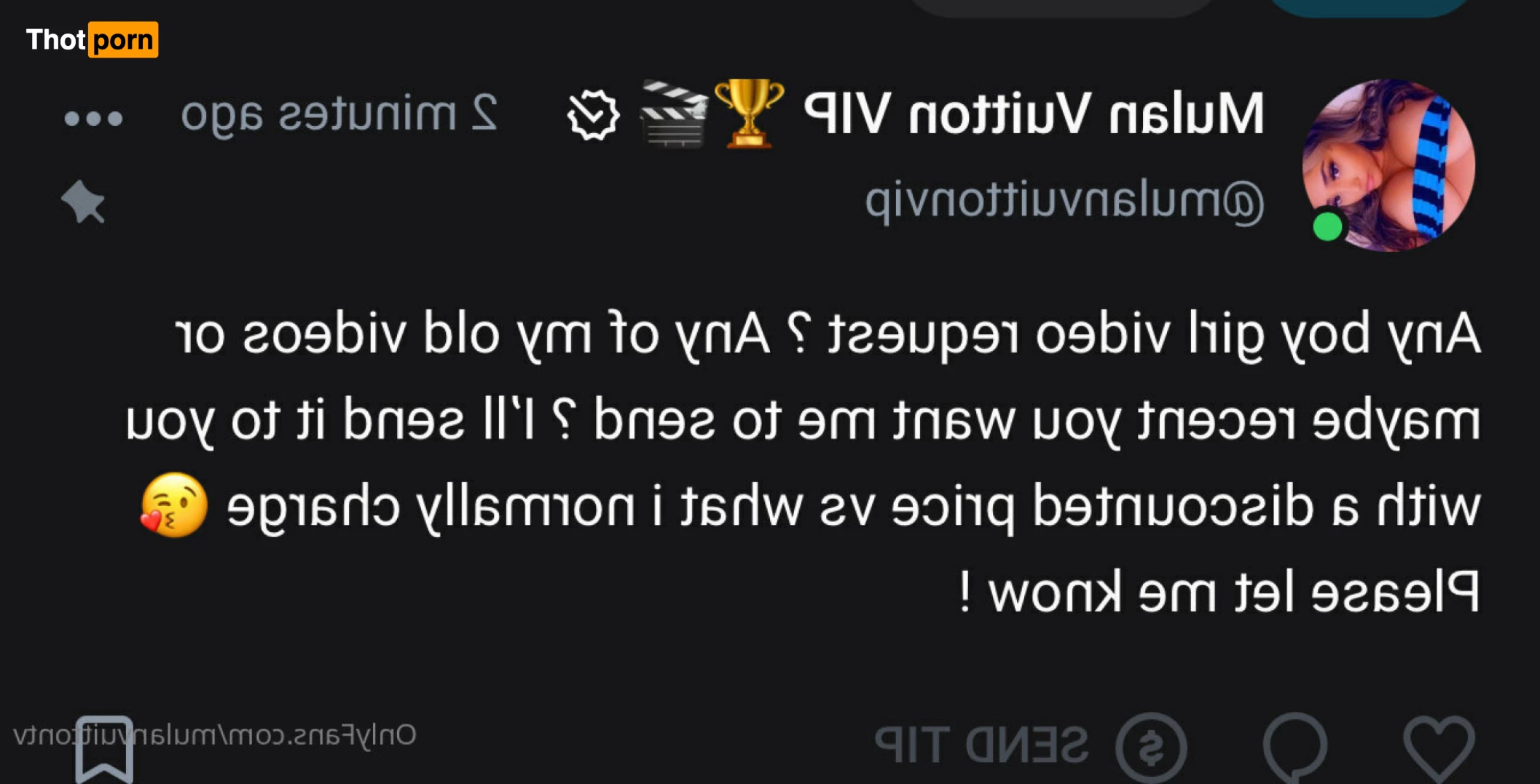 Mulan Vuitton VIP 🏆🎬 9395641