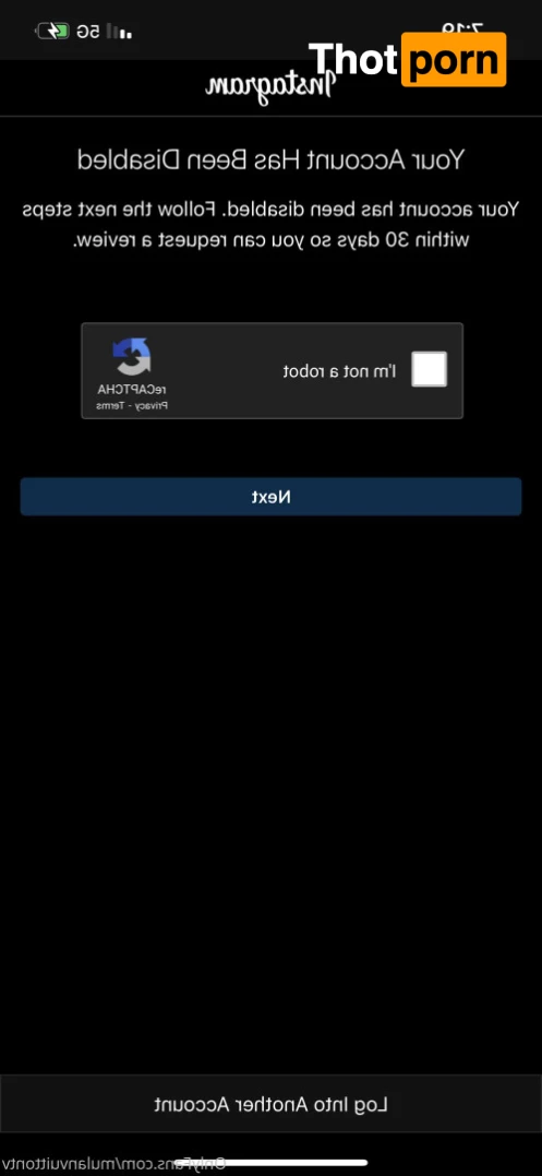 Mulan Vuitton VIP 🏆🎬 9396174
