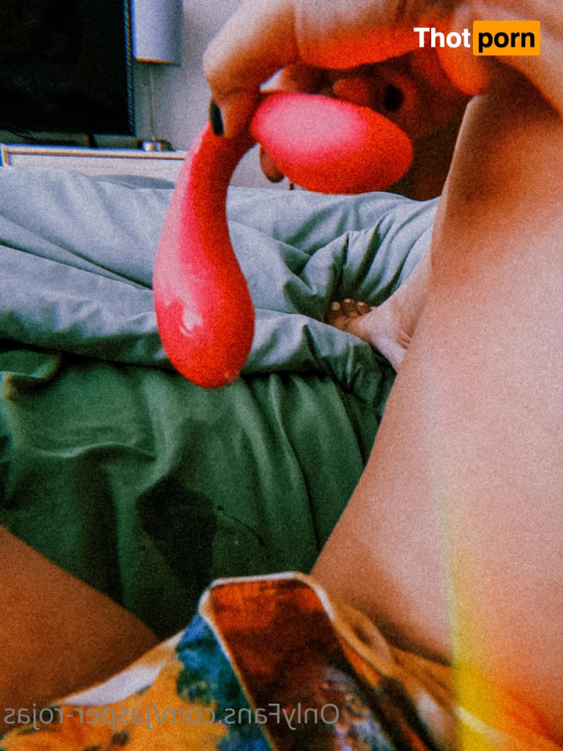 Jasper Rojas 13904263