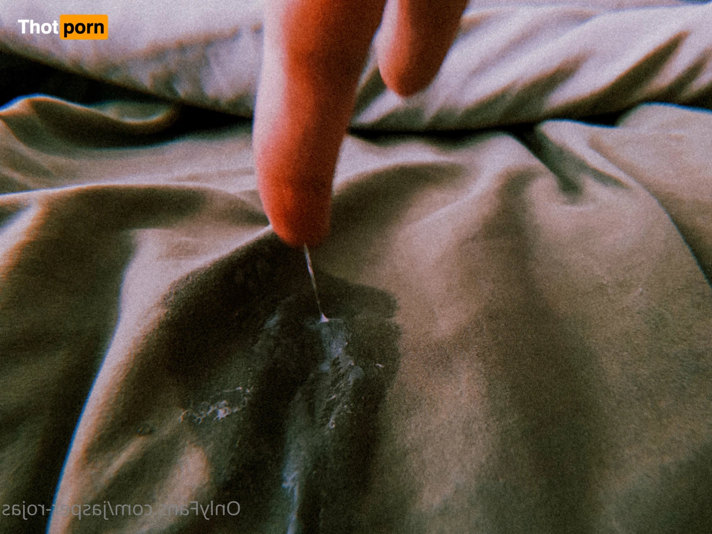 Jasper Rojas 13904544