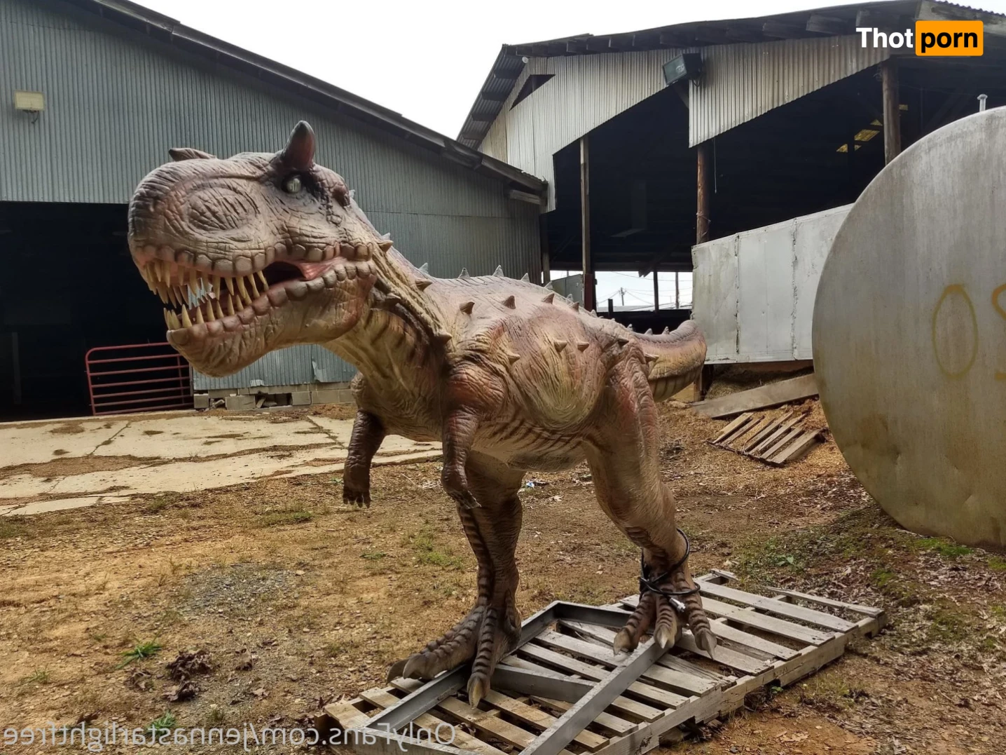 Jenna Starlight (FREE) 13661737