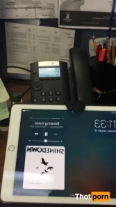 13546468