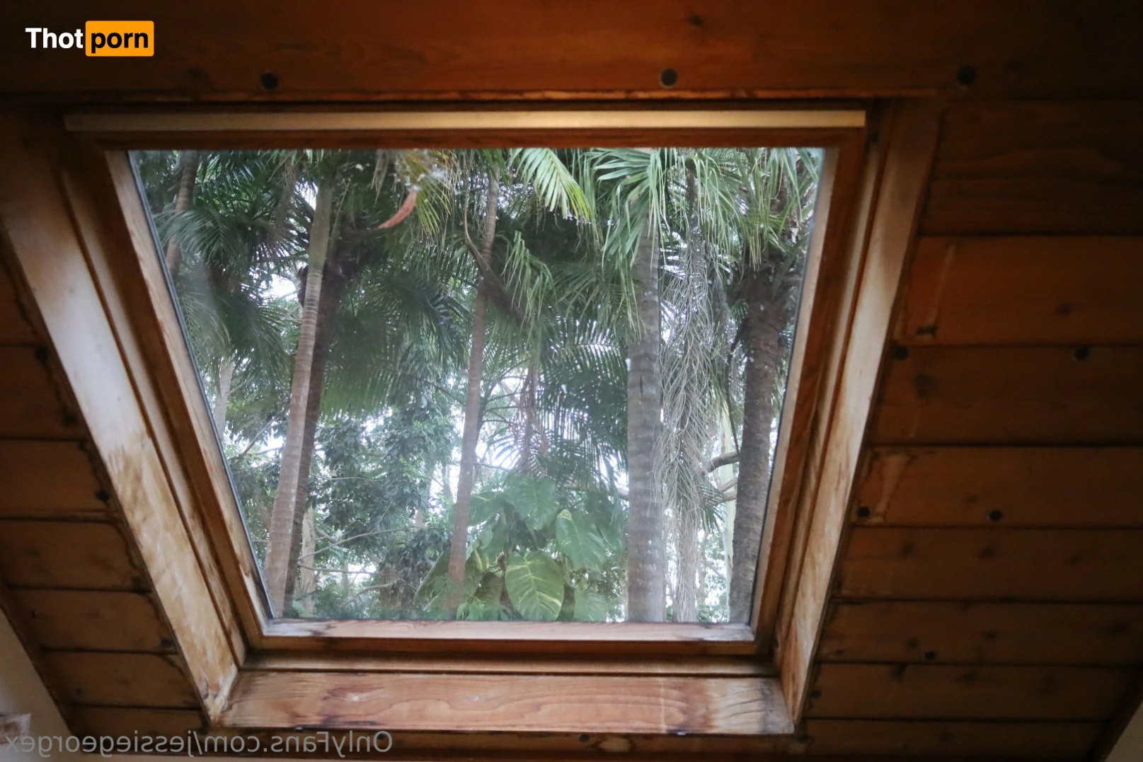 Jessie George 13465103