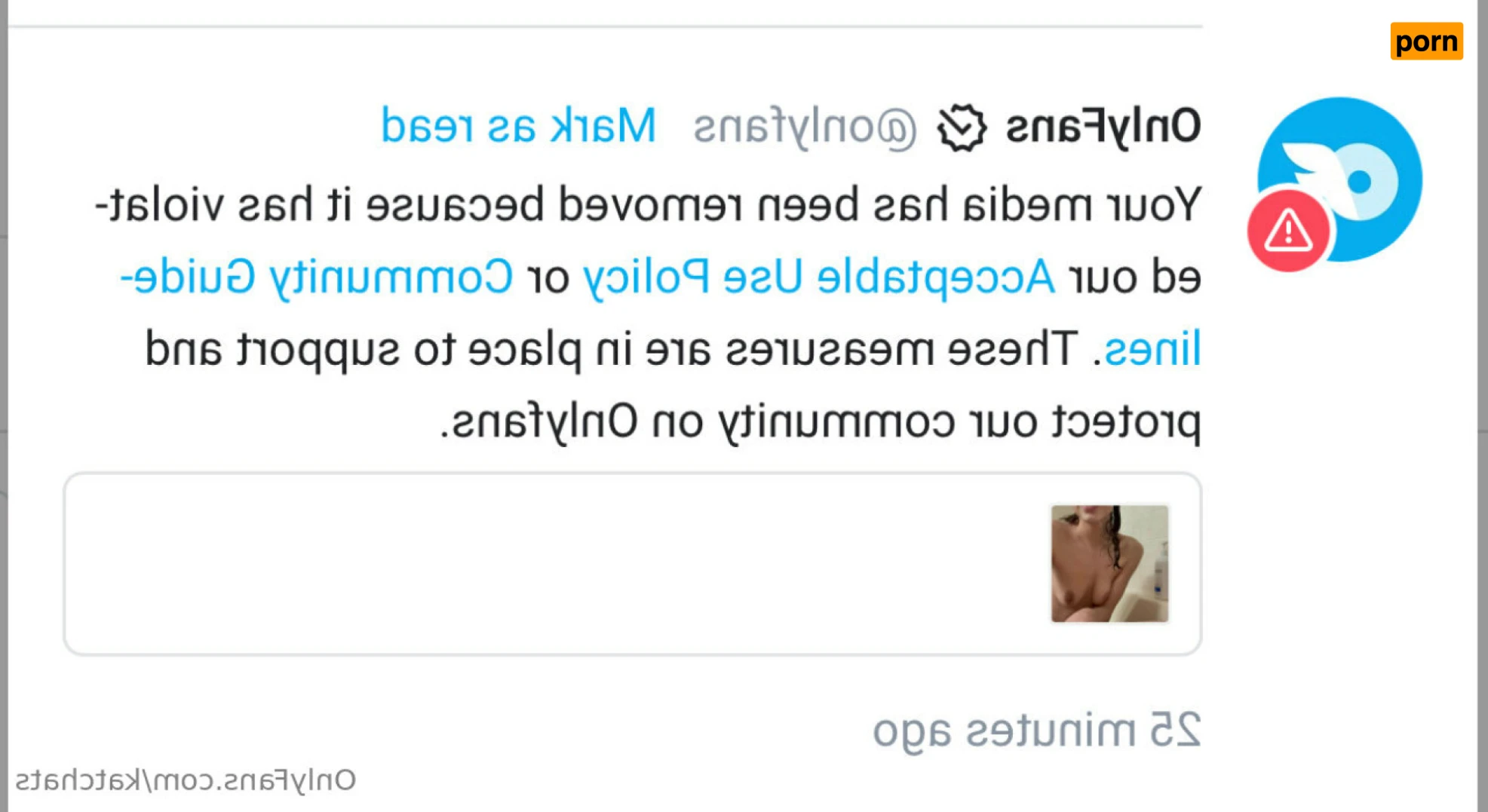 👾 kat 👾 12581145