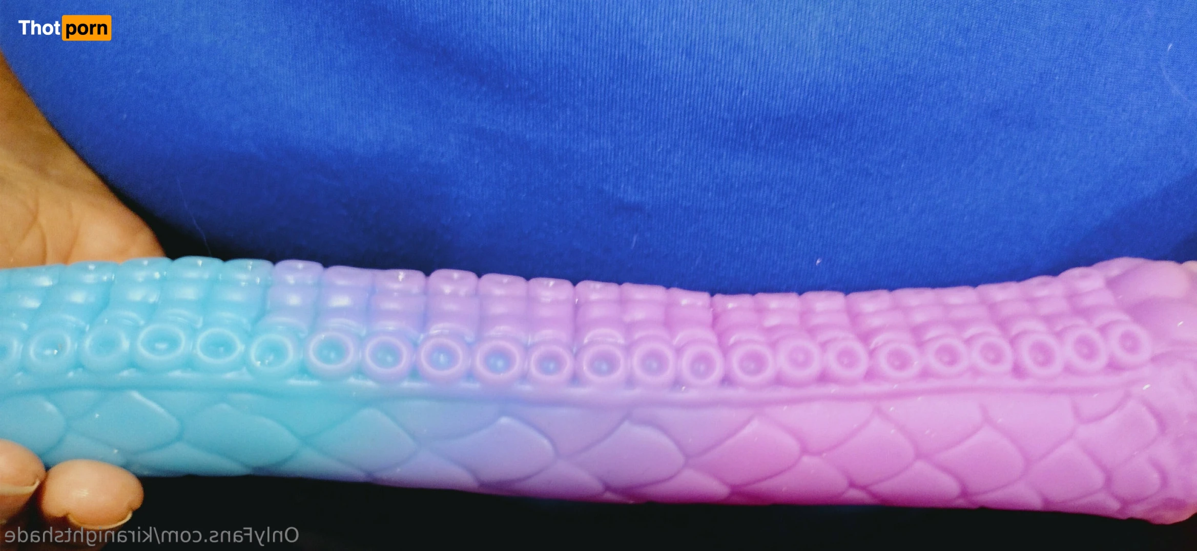 KiraNightshade 11216489