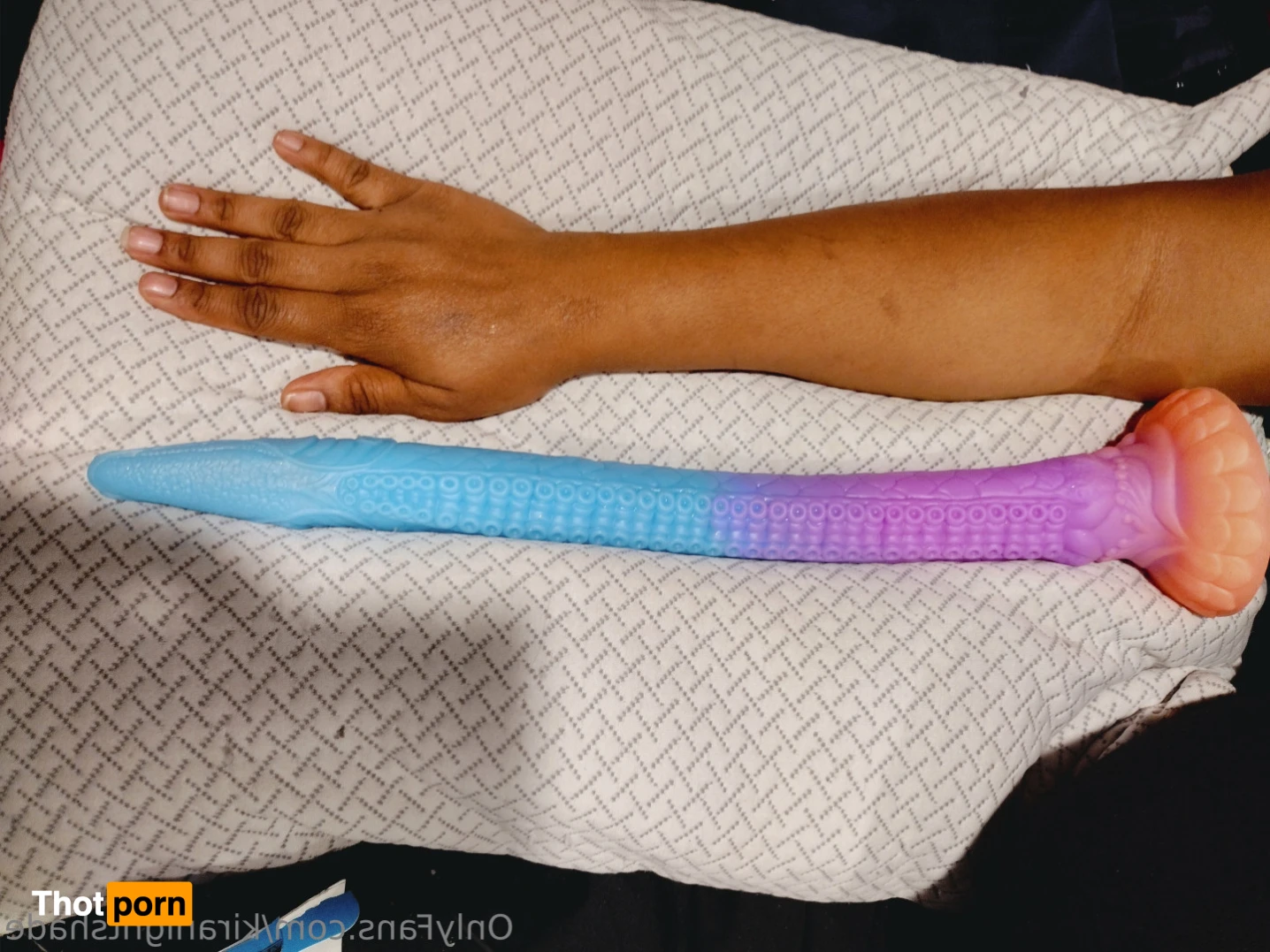 KiraNightshade 11224901