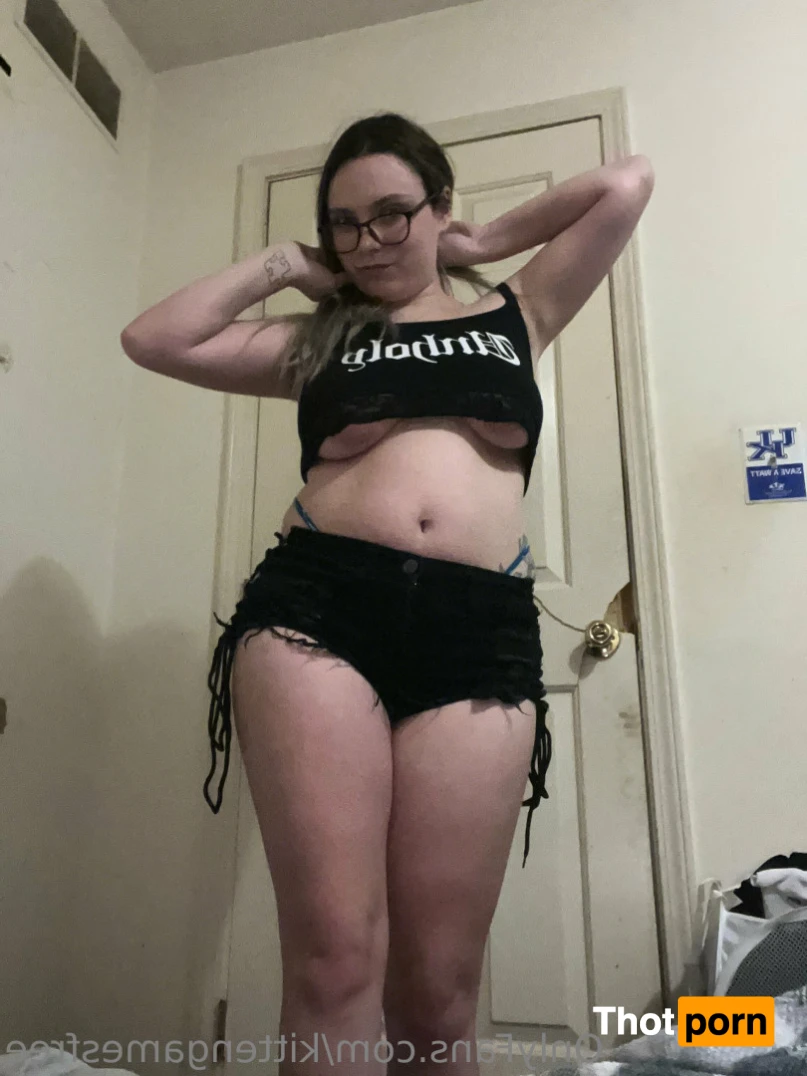 KittenGames 16513121