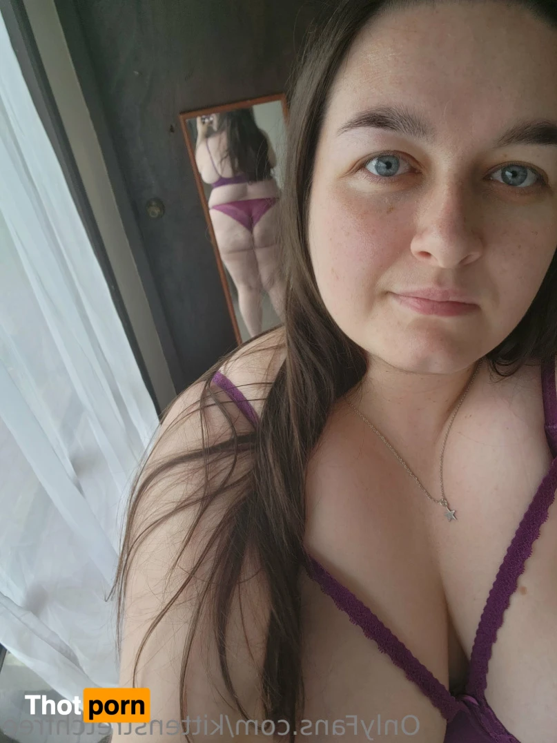 kittenstretchfree 16512841