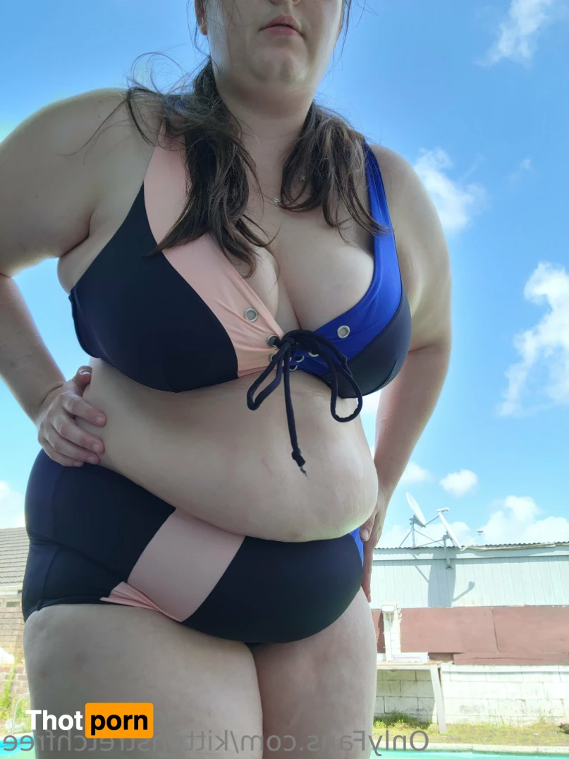 kittenstretchfree 16512875