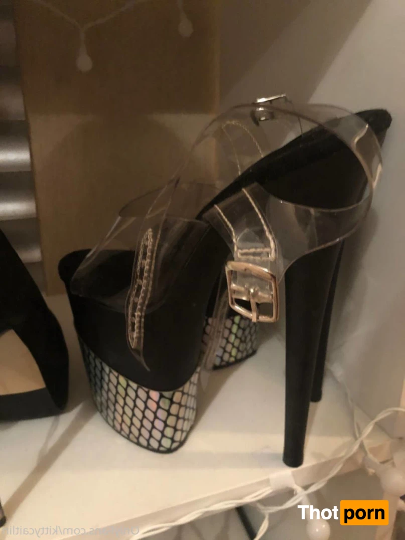 Kitty Caitlin 16508966