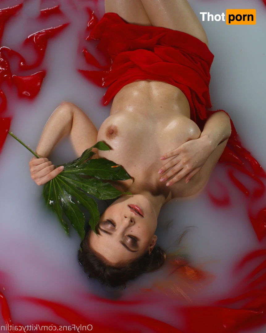 Kitty Caitlin 16509165