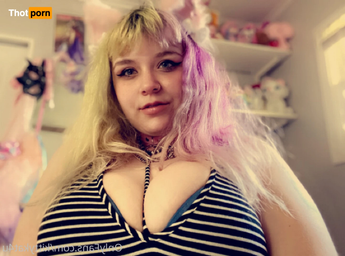 Kittykat4u 🐱 16505466