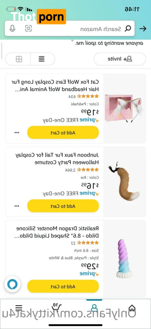 Kittykat4u 🐱 16505713