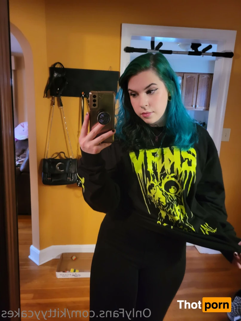 Kitty Cakes 16496579