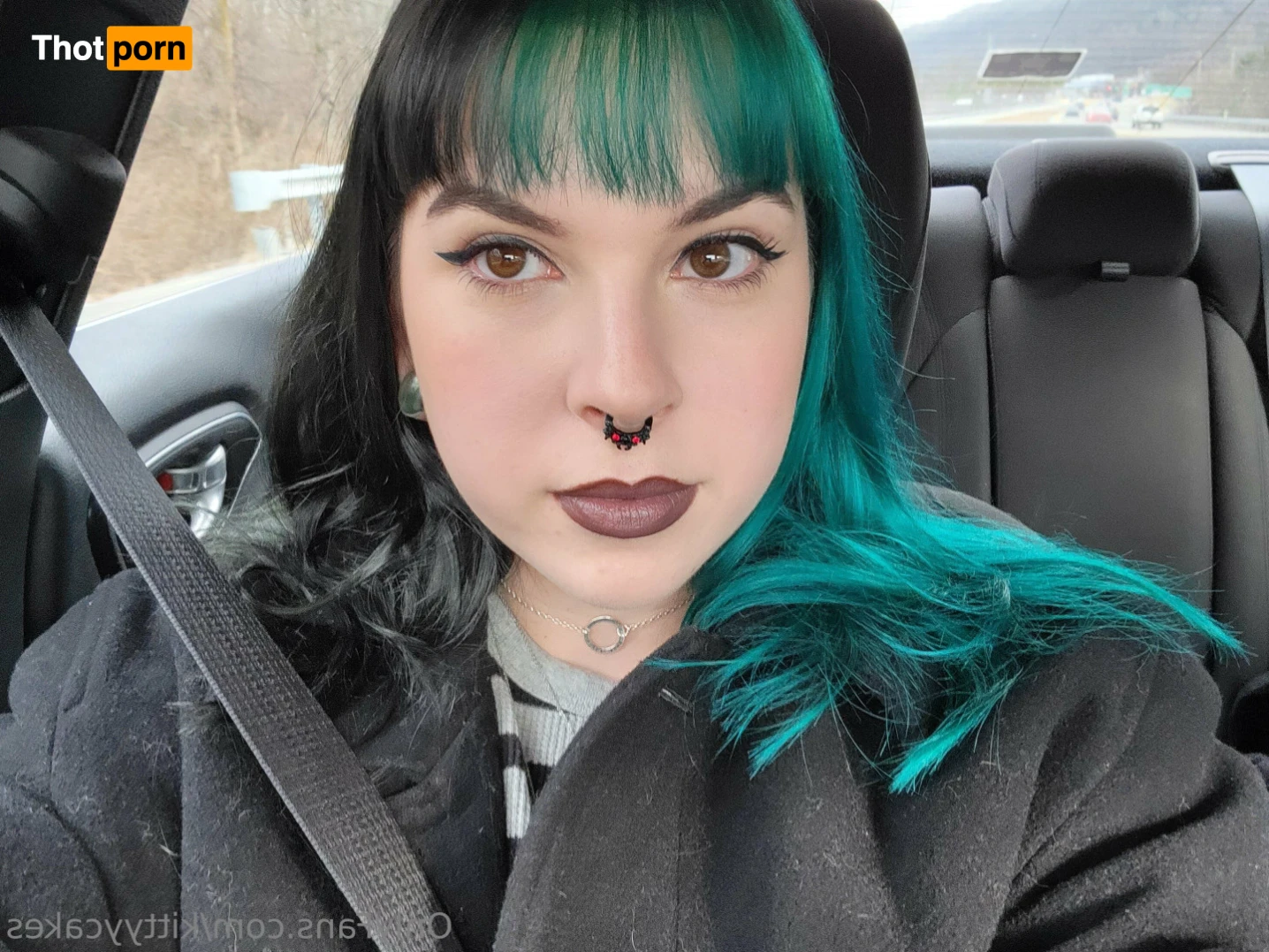 Kitty Cakes 16496687