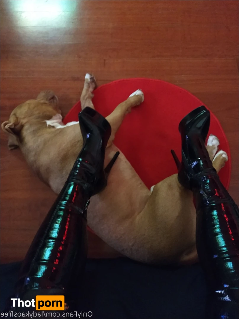 Hot Domme 💦🔞😈 16398992