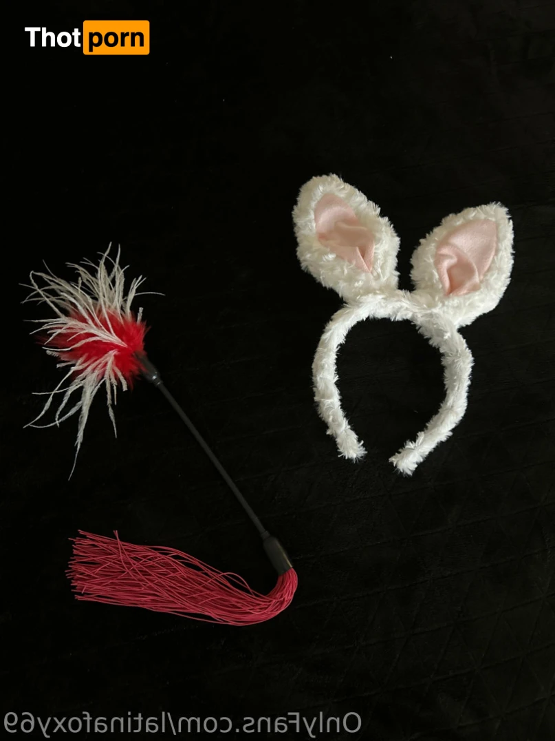 Latinafoxy69 16186833