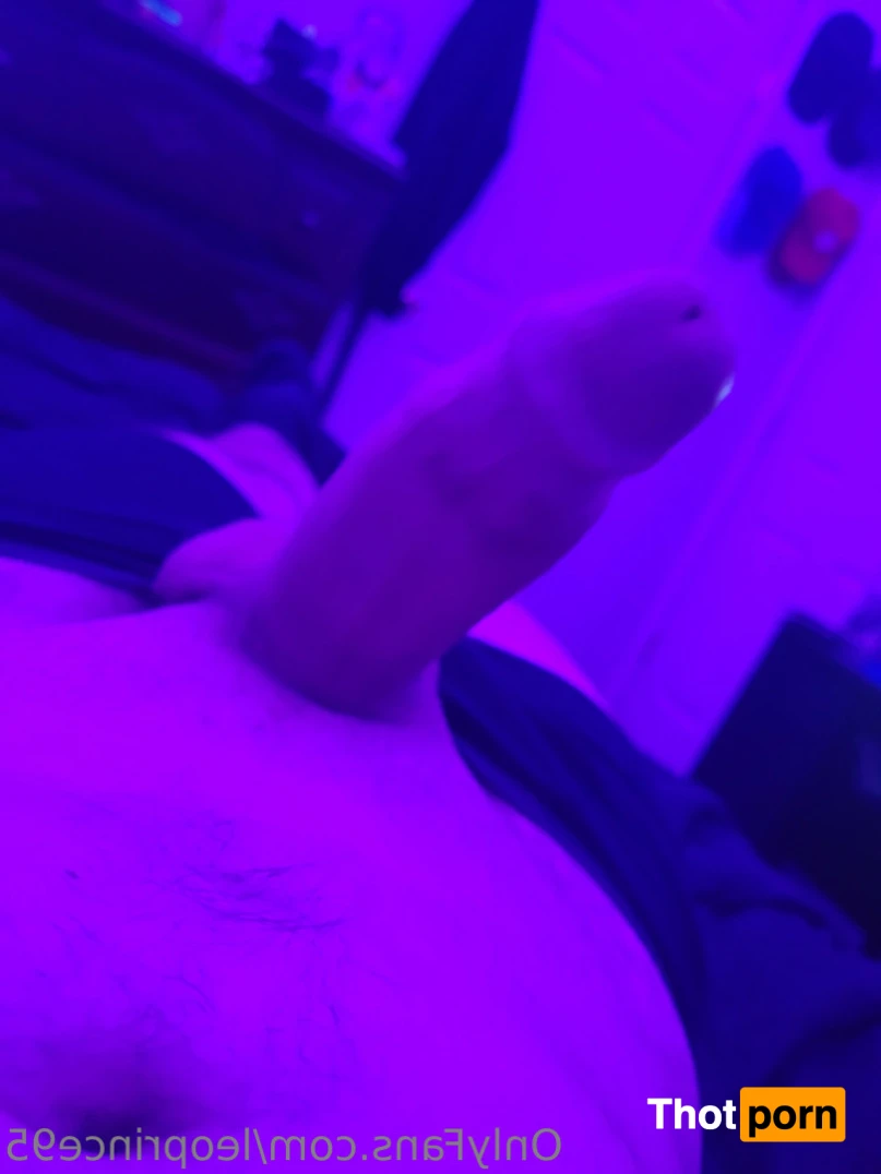 Leonardo Prince 15873319