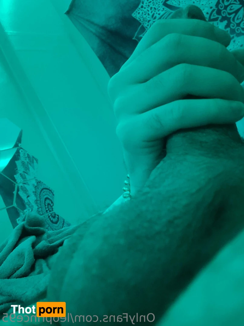 Leonardo Prince 15873356