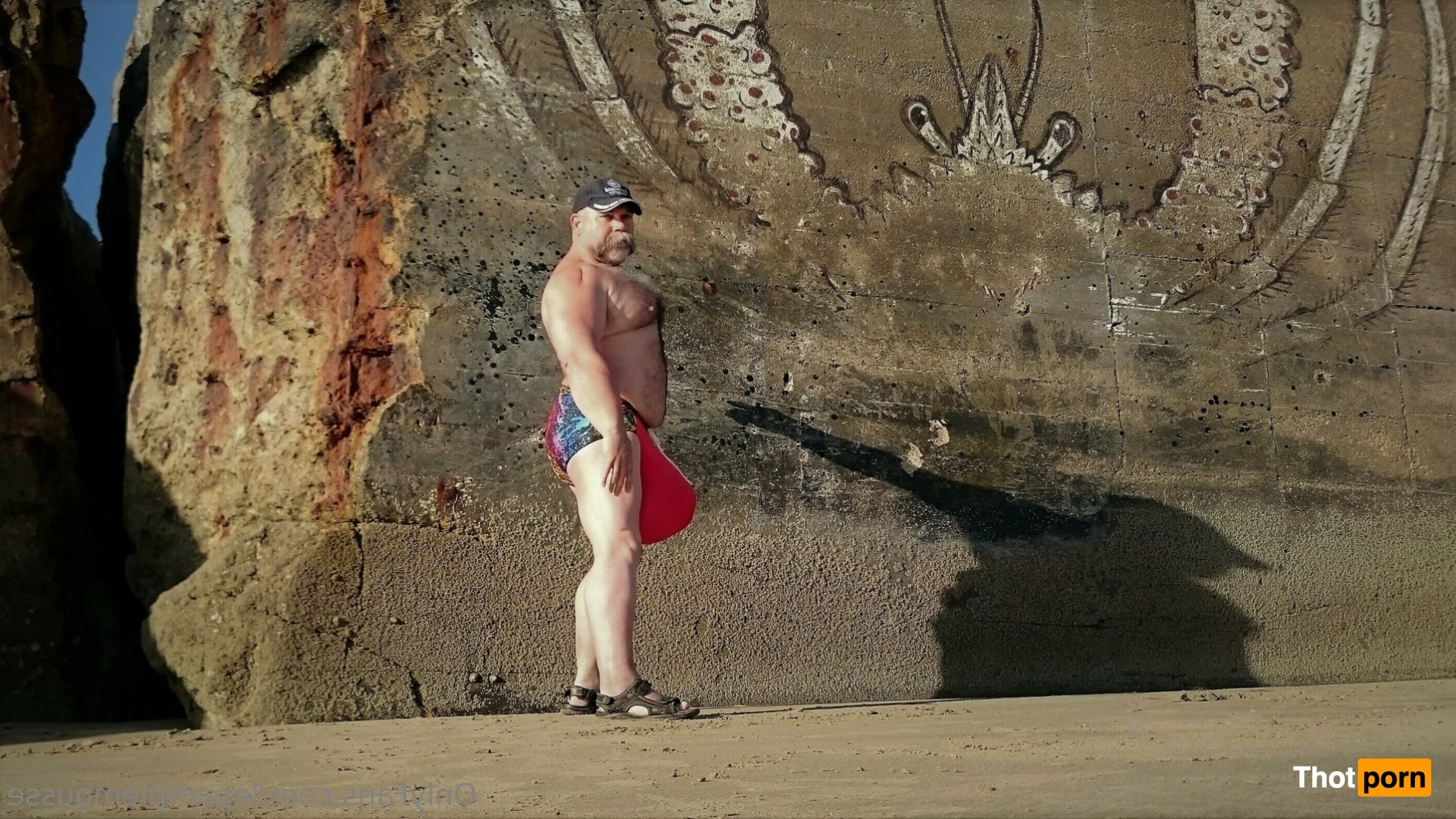 le pamplemousse 15871350