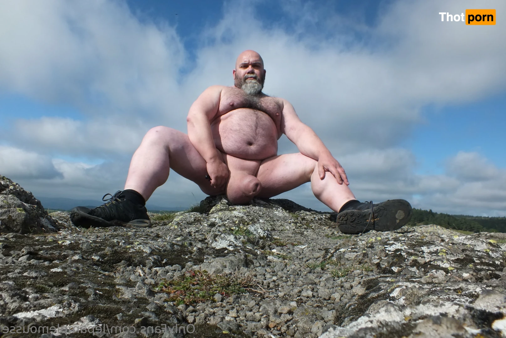 le pamplemousse 15871539