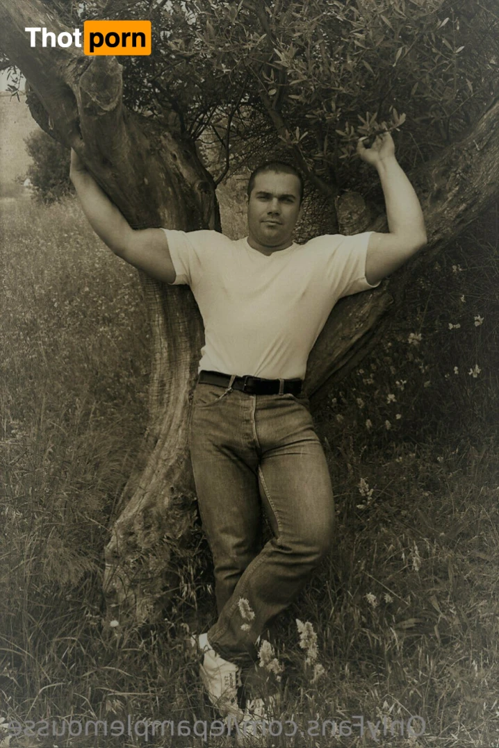 le pamplemousse 15871729