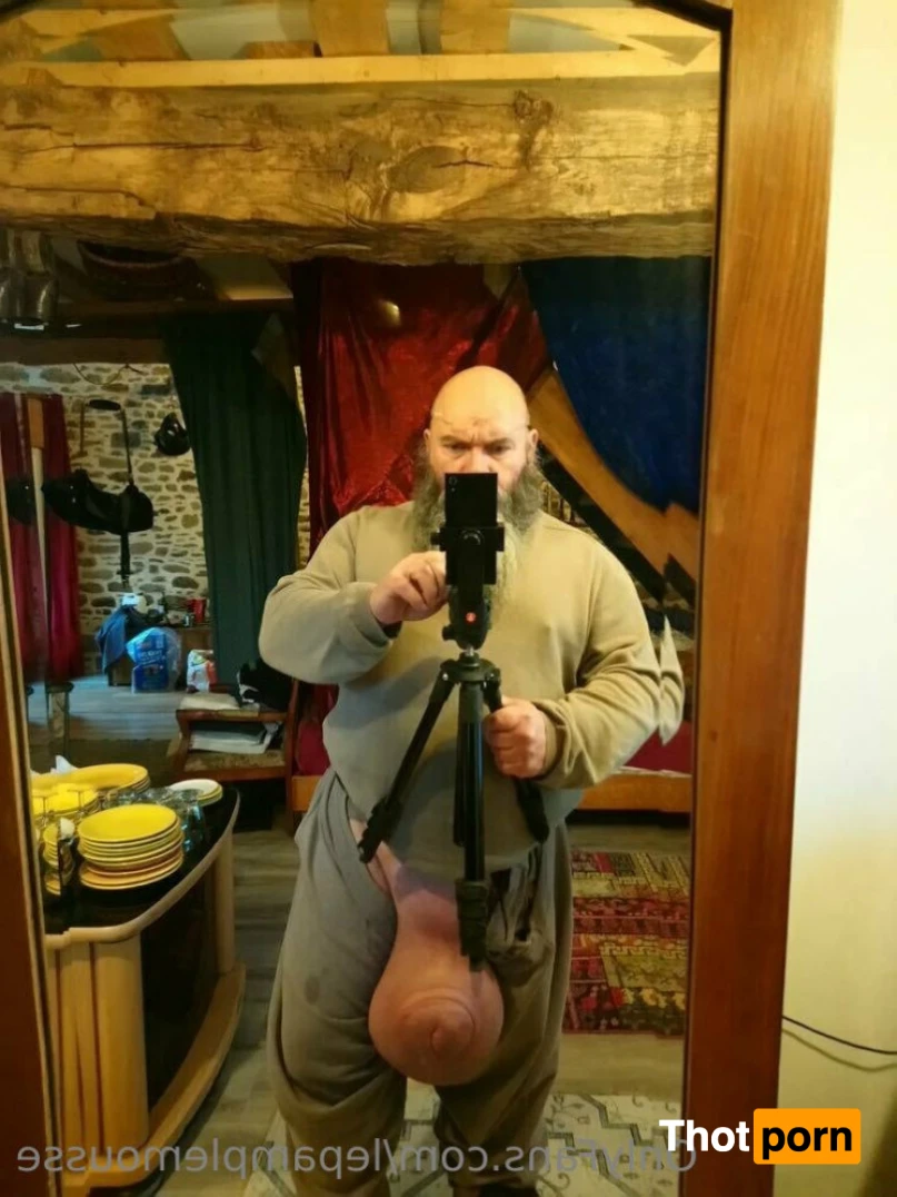 le pamplemousse 15872066