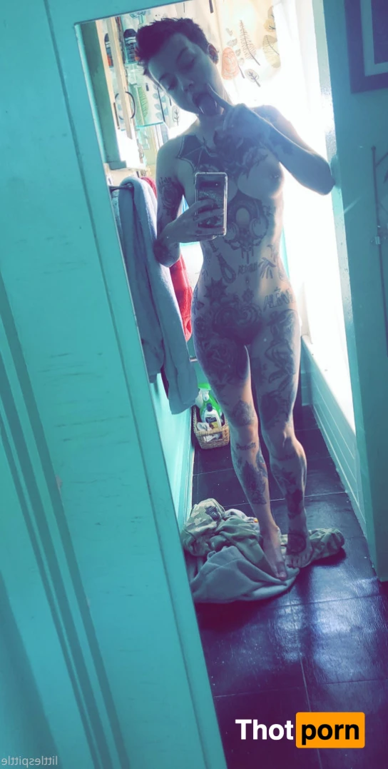 Little Spittle 15207623