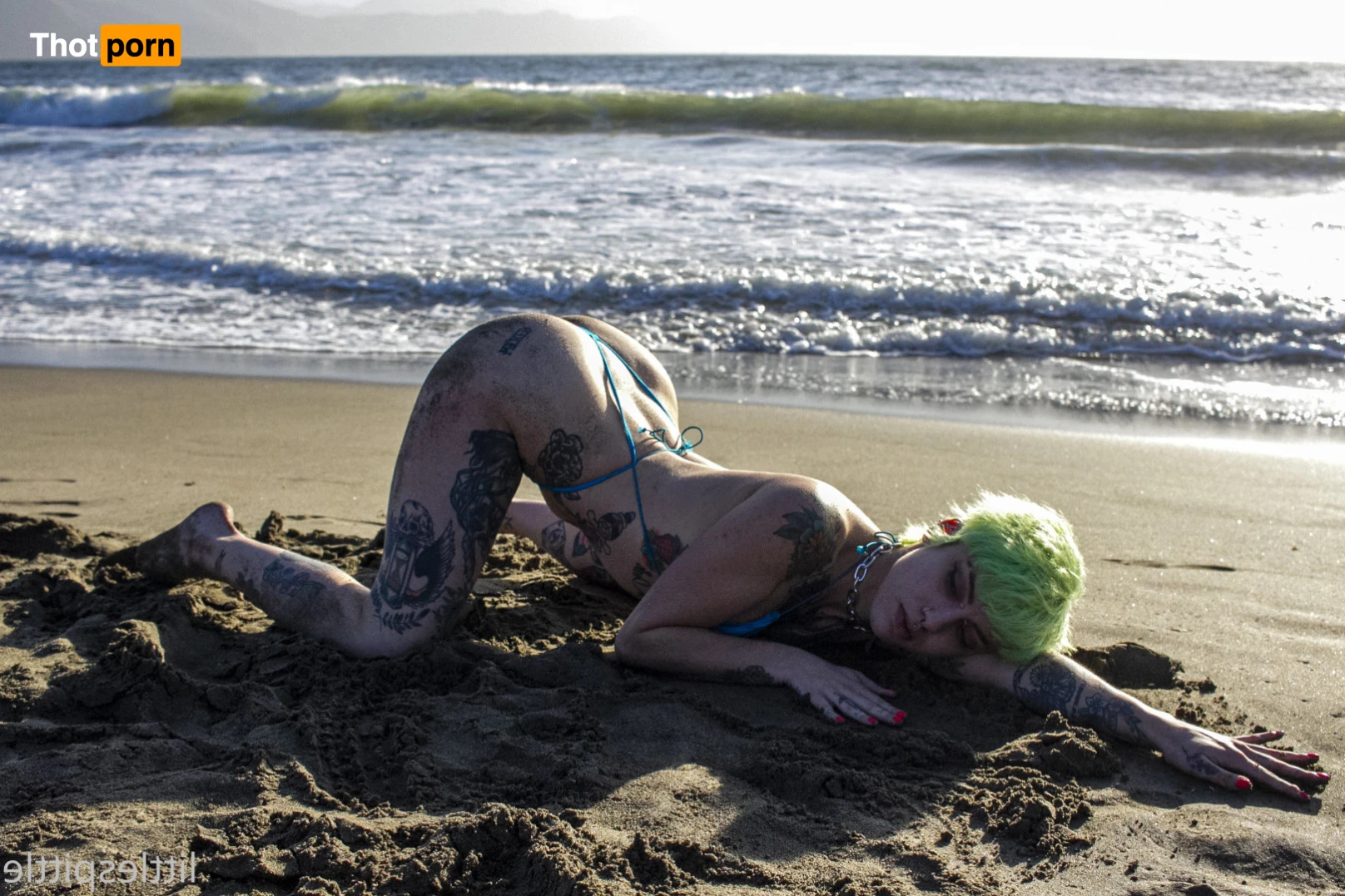 Little Spittle 15207802