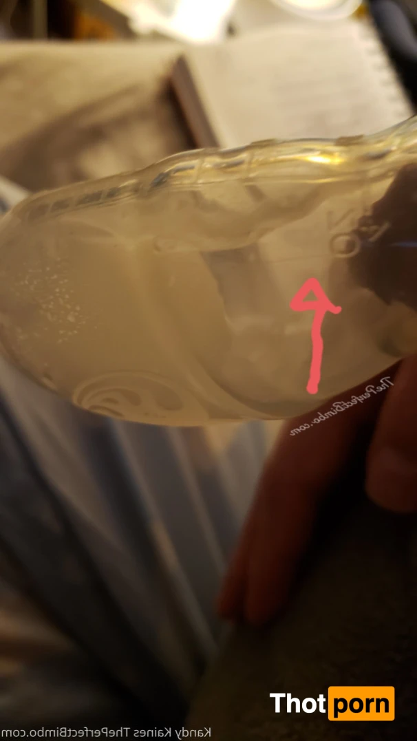 Kandy Kaines 15079458