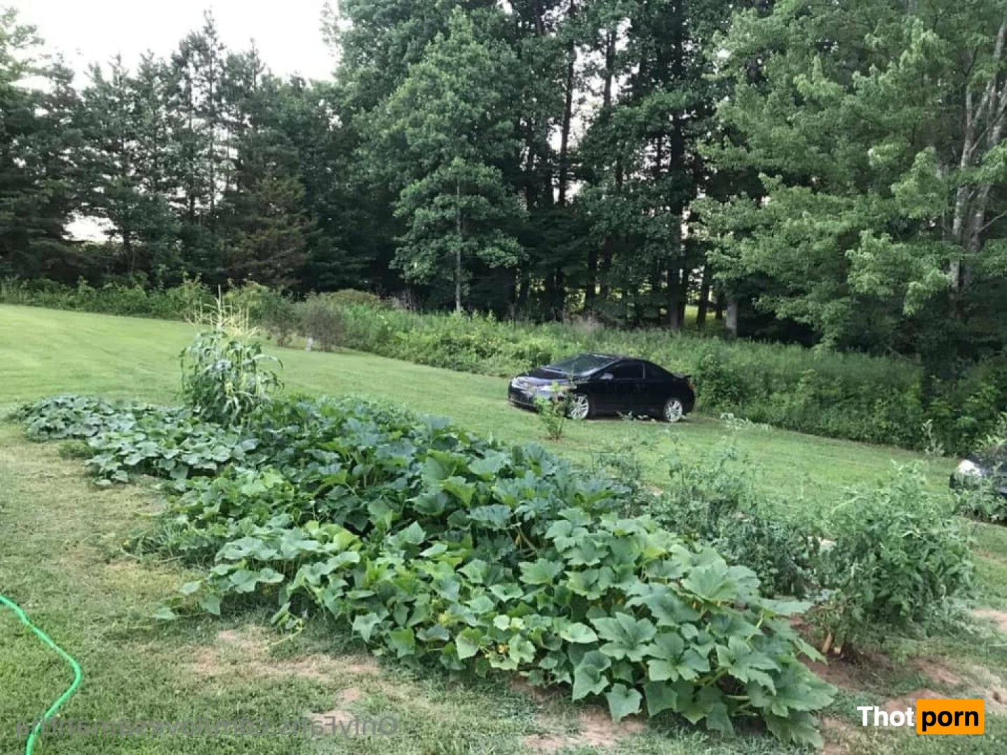 Samantha Love 14887694