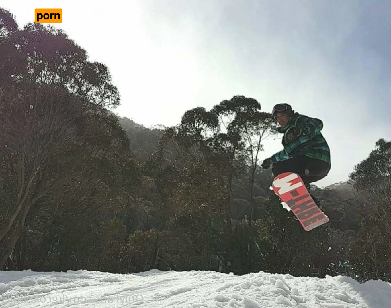 Lrgcoknballs 14880136