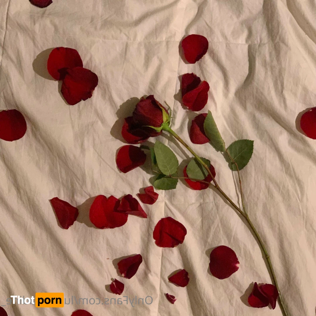 Luci Celadine 14867858