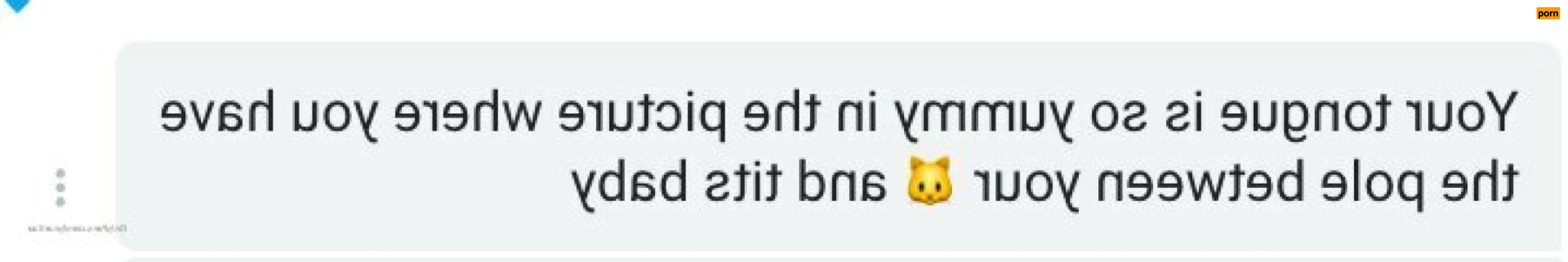 ☀️ Lyna Perez 14511295