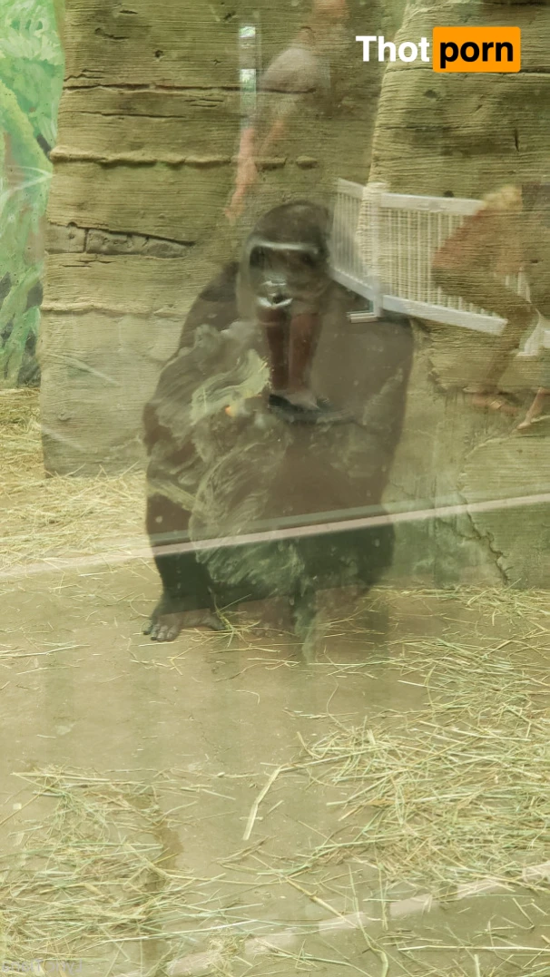 🌸Lyric Tiana🌸Top Creator🌸 14507653