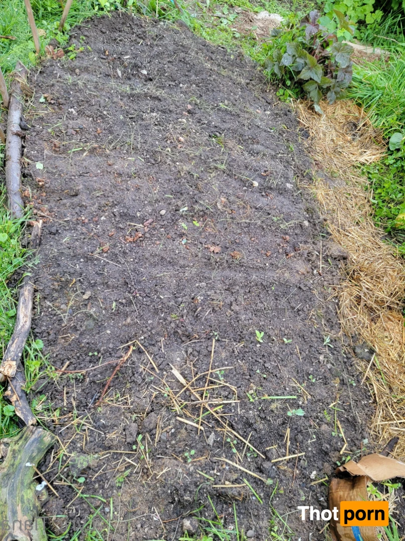 🌸Lyric Tiana🌸Top Creator🌸 14508357