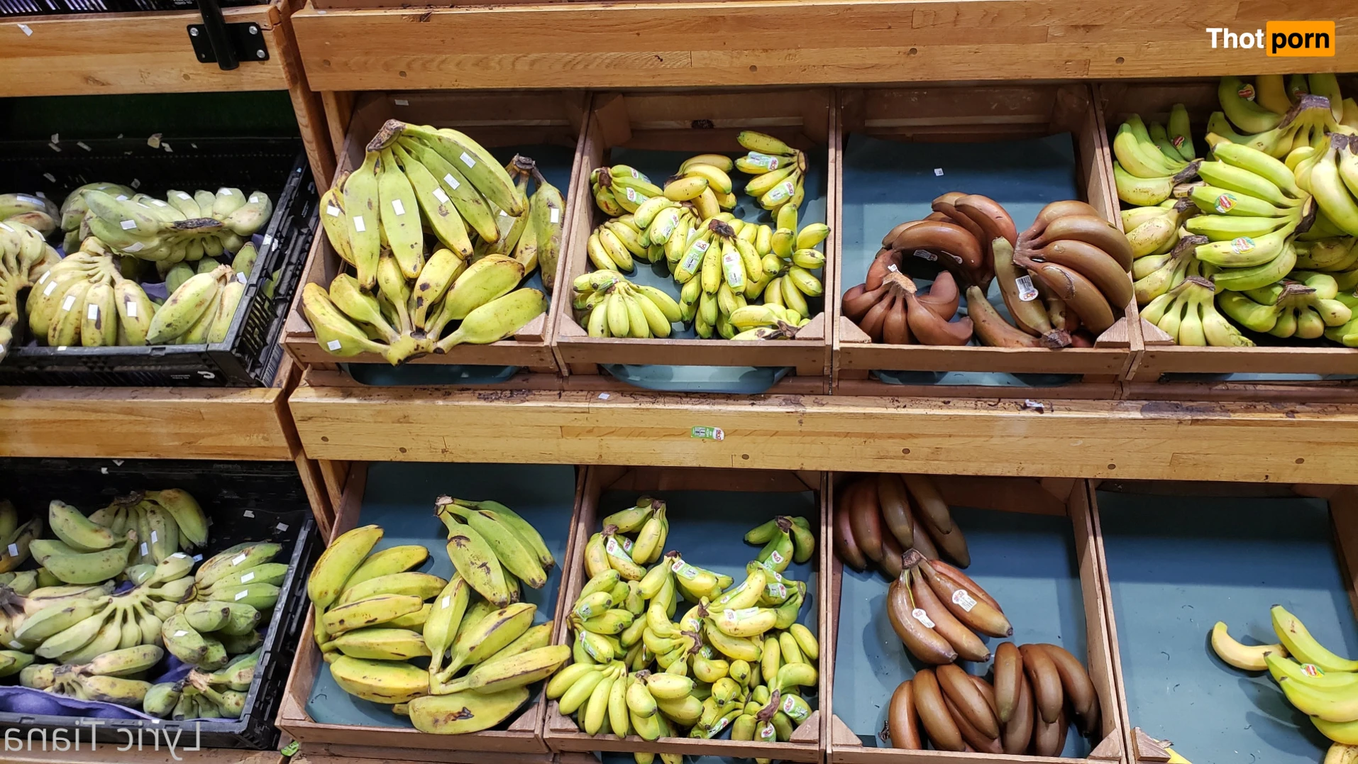 🌸Lyric Tiana🌸Top Creator🌸 14508750